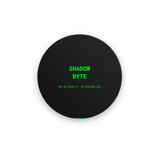 CYBERSECURİTY & web dewelopment